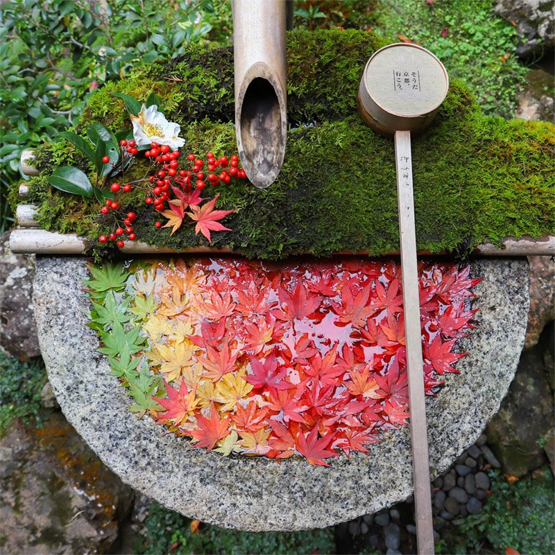 🐍 뱀굴 신사(헤비쿠보 진자) 이미지 7